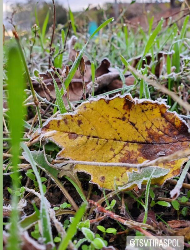 ����� � ������������� ���� ���������.