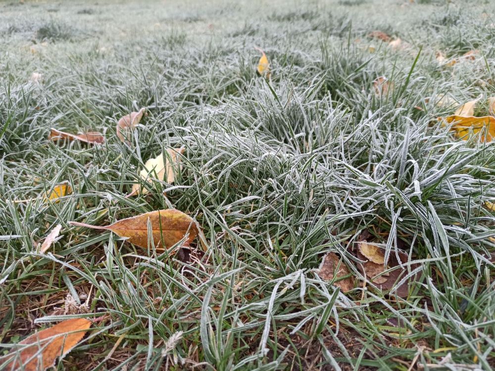 � ���������� �� ����� ���������