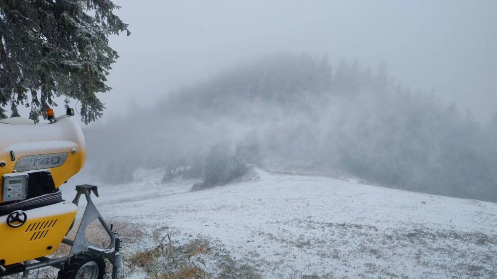 ���� ������. ��������� ������ ��� �������� ������.