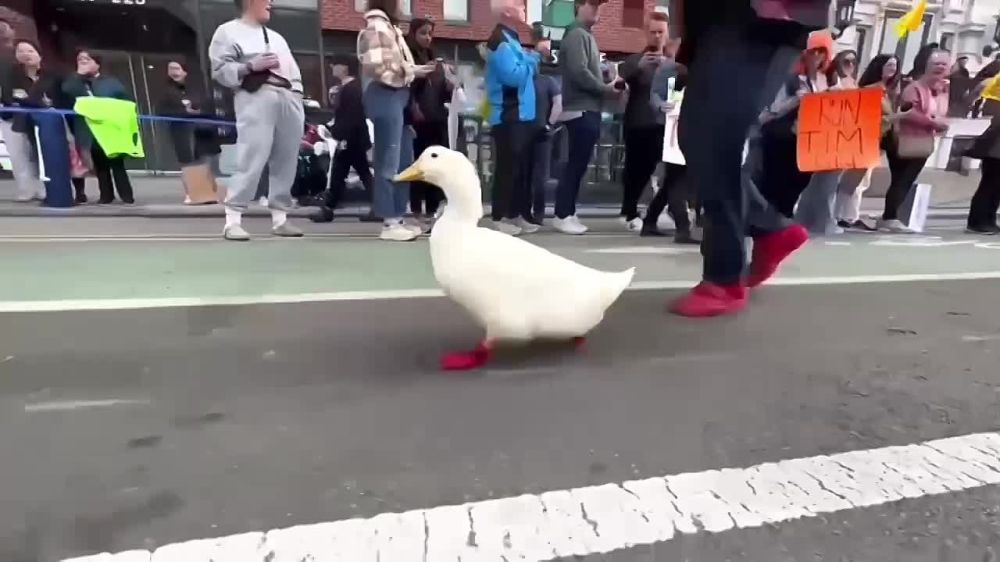 � ���-����� ���� �������� ������ �� ���� ������ �������