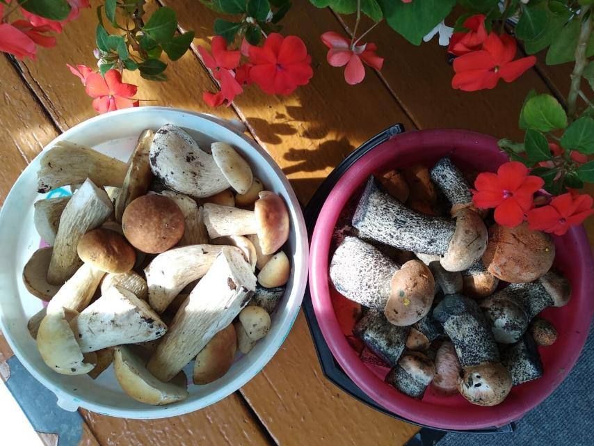 �����, ��� �� ������, � ����������