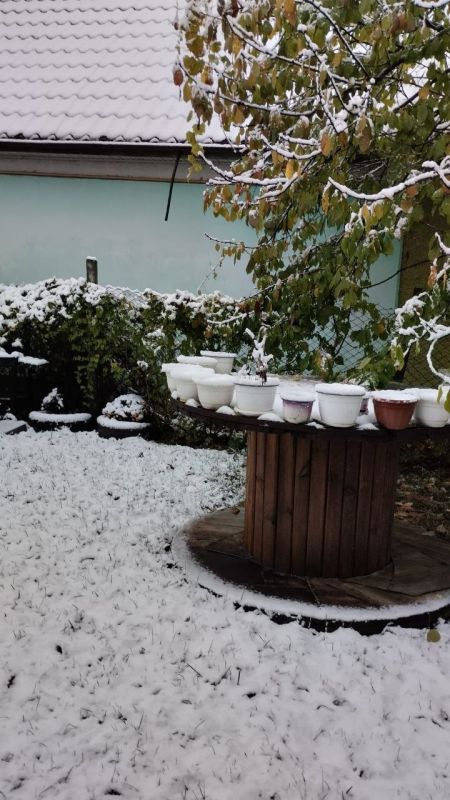 � ������� � ������ ����. ���� �� �����������