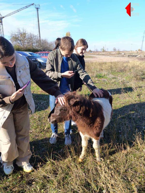 ������������ ��������� ���������� �������� ��������