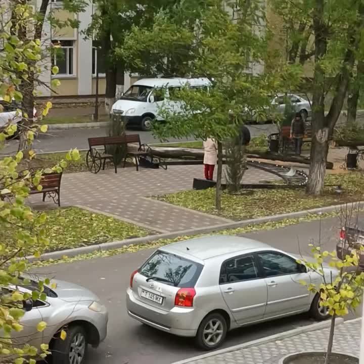 �� �������� �������� ������ ����� � �������� ����.