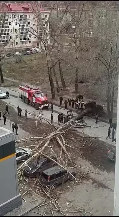 � ������������ ��-�� ������� ����� ��� � ������ �� �������� ���� � ������� ���������� ��� ��������