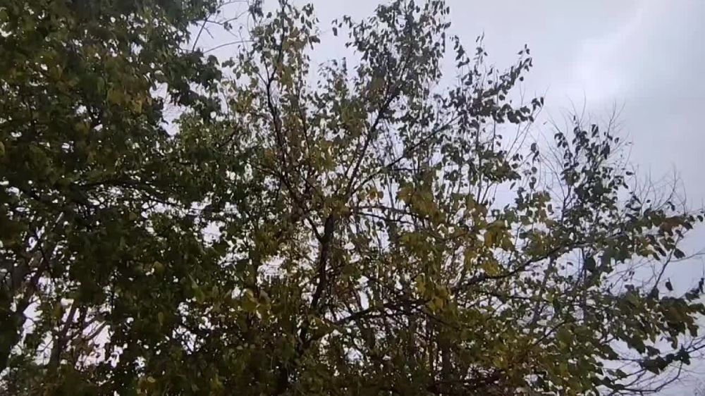 ��������� ����� ��� � ������������� ��� ���� � ������ � ����� ������ �������������, ����� ����������