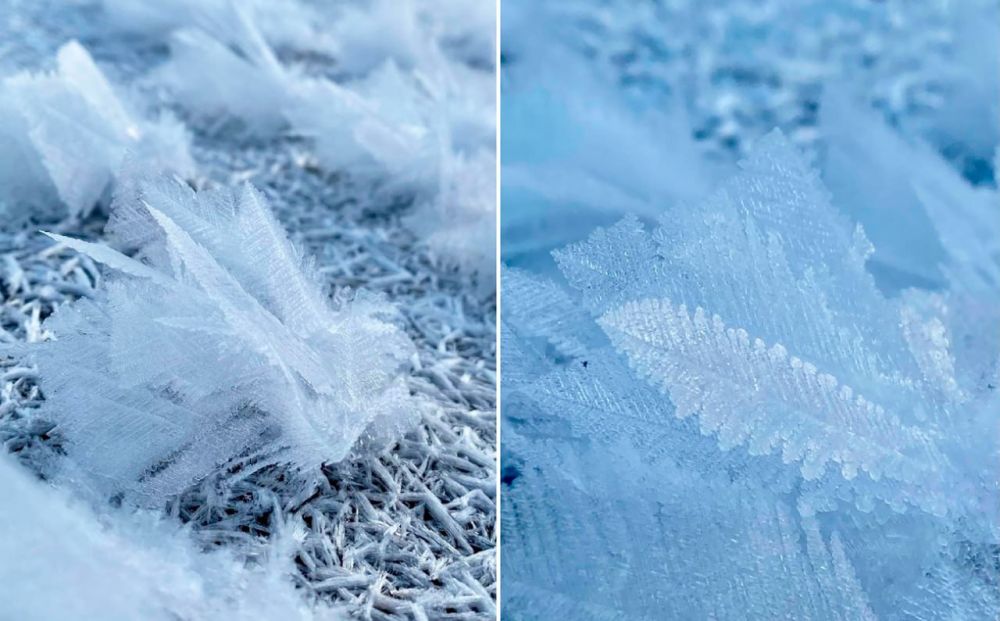 ������� ���� �������. ������ ��������� ������� ����� ���������� ������ � ����������� �� ������� ������ �������