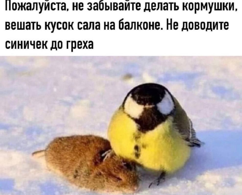 ������� ������. � �� ������� �������� ��� ����?