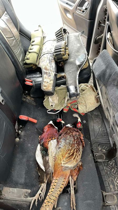 ����� ����� ������ �� ���� ������� �������� ���� ������������� ���������