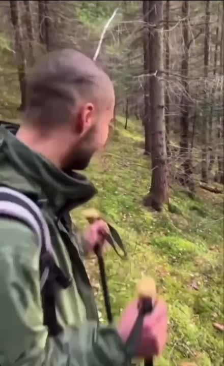 ��� �������� �� ���������� ���������� �������, �������� ��������������� ������� � �������