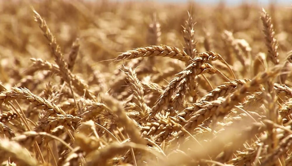 � ������ ����������������� ��������� ��������� ��������� ��������� � ���������������� �������������� ������ � �������� ������������