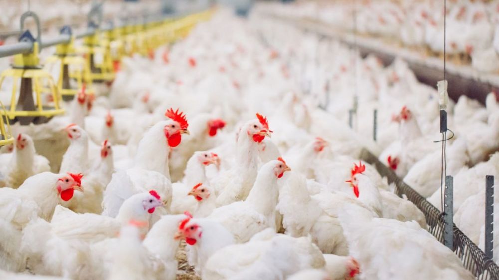 ������������� ��������� ���������� ����� �����