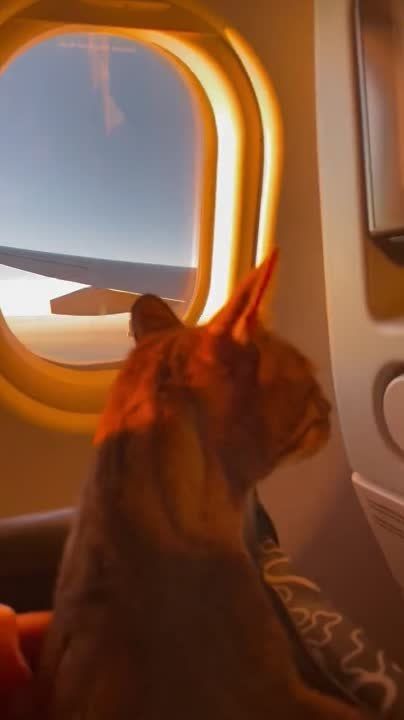 � �������� �������� ������������ ����� � �������, ������� ������� ���� � ������������