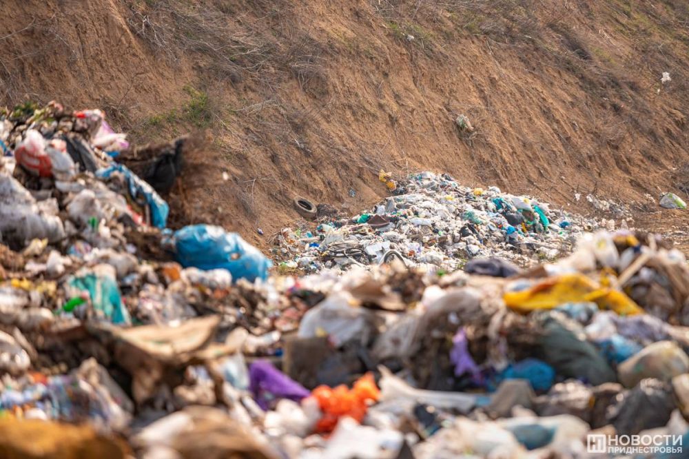 �� ����� ���� ������ ��������������� ���� �������� � �������������