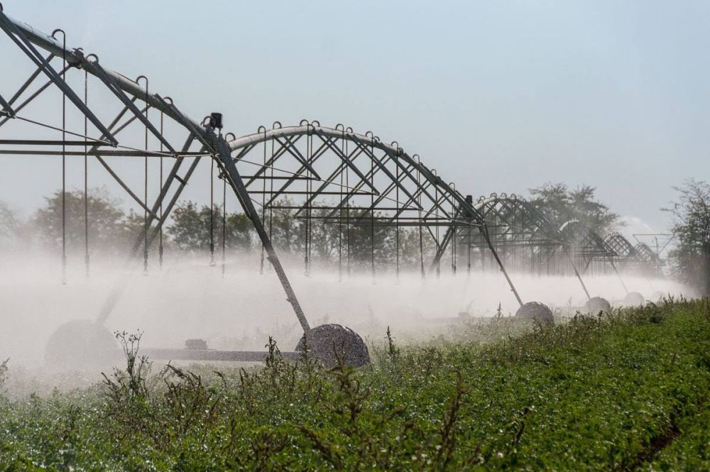 � 2023 ���� ������� ��������� ������ � ���������� ��������� ����� 33 ���. ��