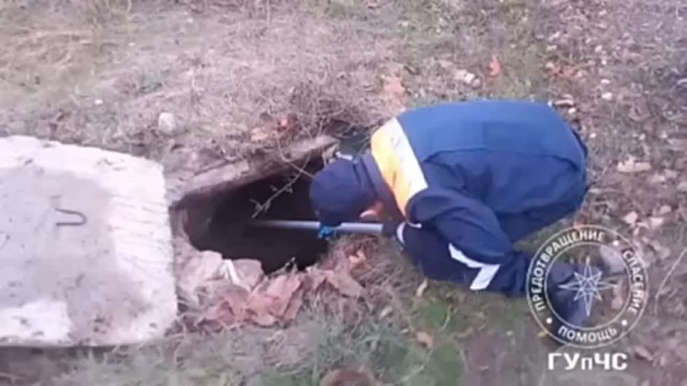 ������ ������. 17 ������, ������� �� ����� �������� ���� ��������� ������ ���������������� ����, �������������� �������� ��� ������. ������������� ������� ���������� �� ������� � ����������