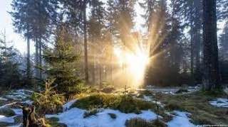 ����������� ���� ��������� ������ ��-�� �������� ���-�����