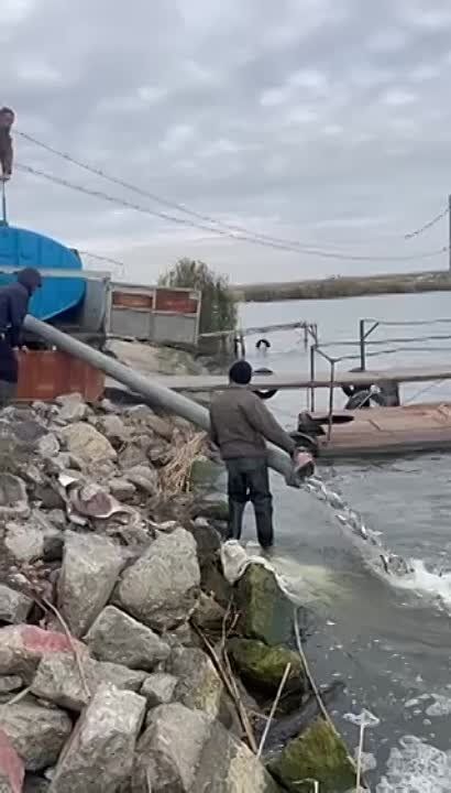 ��������� ���������� ����. � ������������ ������������� ������� ��������� ���� ���� ����