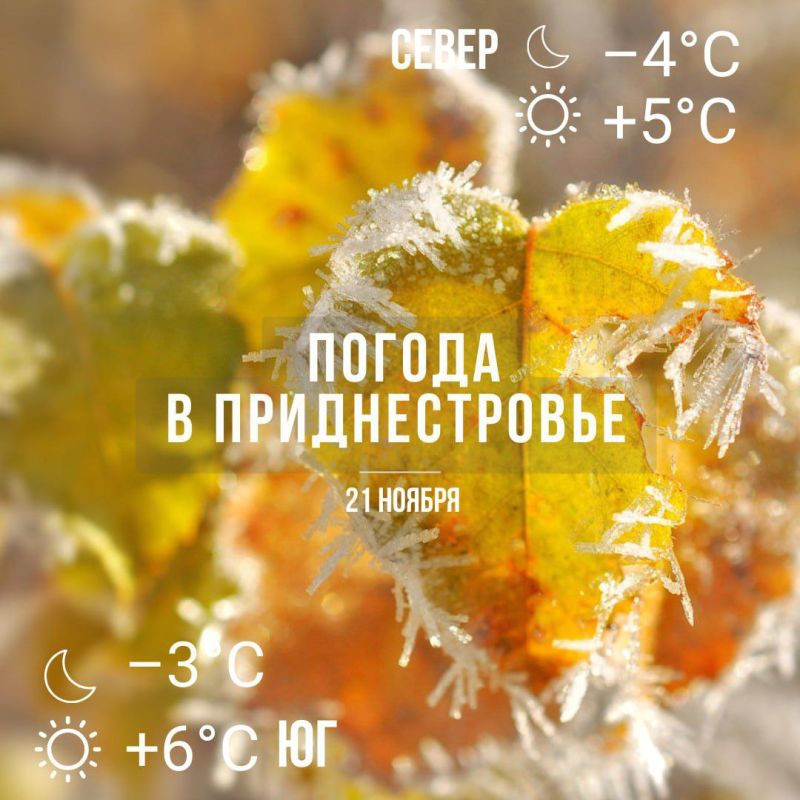 ������� ��� ������ � �� +6��