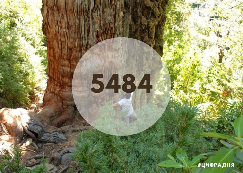 ������ ���������� � ���� ����� ������ ������ � ����