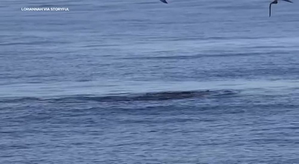 ����� ������� ��������� �������������� ��������� � ���. �� �������� ��� ���������