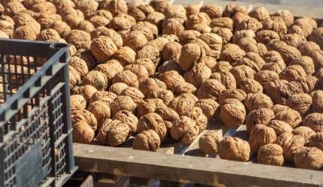 ����� � ��������, ����� �����