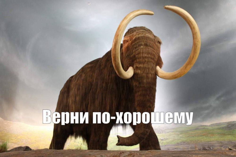 ������ �� �������������� ��������� ���������� ��������