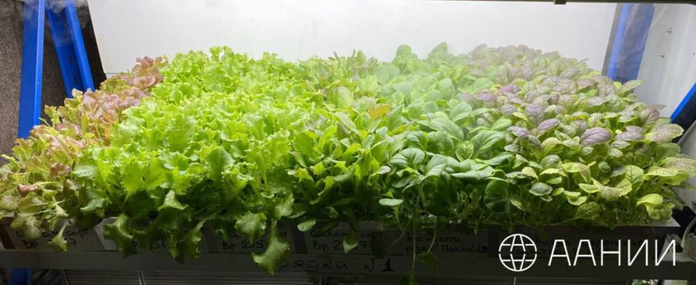 ��������� ������ ������ ������� ���������� ������ � ����� �������� ����� ����� ������� - ����������