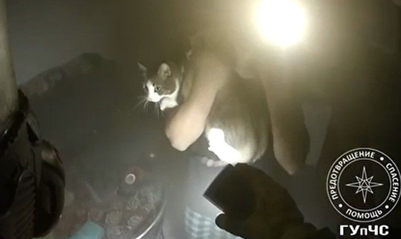 ���� ������� �� �����.