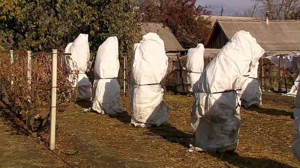 �������� ��� ������ ���-�� ���������� ����� �������� ������ �� ������� ������ �������