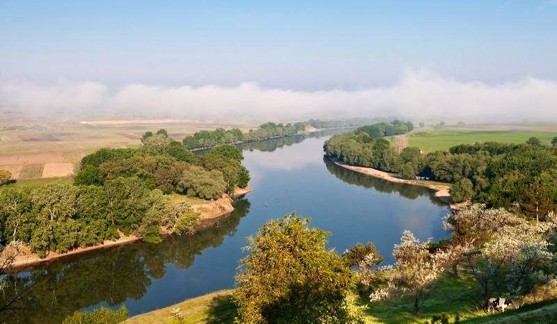 ��������� � ���� �����. ����? ���� �����