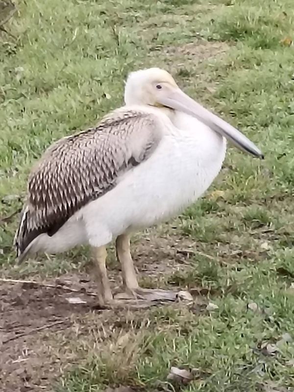 � ���� ������ ����������������� ������ ����� �������, �������� �� �����