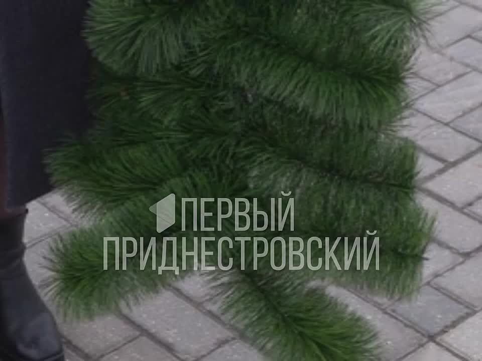 ��� ����� �������� ���� ������� ���� ������� ���� ���� ��� ����� ��������� ��-������