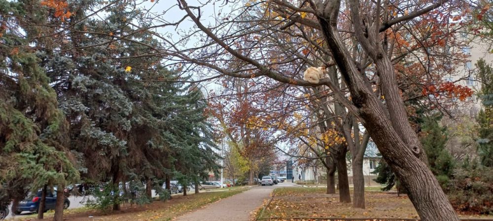 ������ � � ������ �������. ������ ����� � ����� ���. ������ ���� ����� �� ������