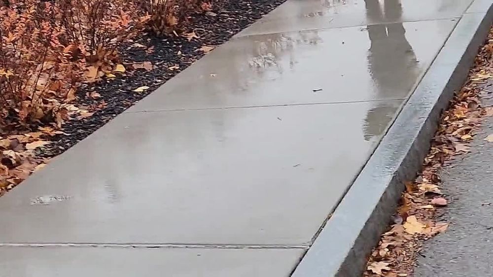 ������ ����� ��������� �� ������� ����� ��� � ������� �� ����� ����� ���������� �������