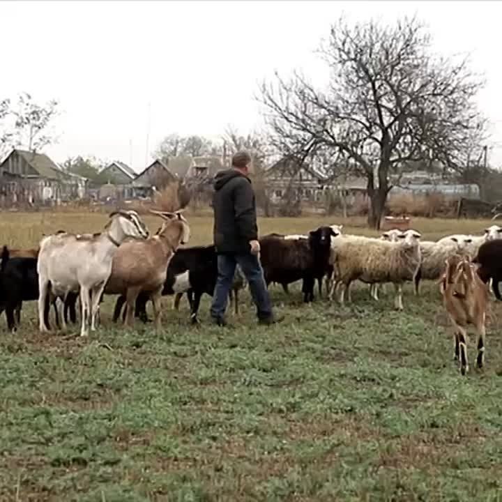 ��� �������� ������� � ������ ���� �������