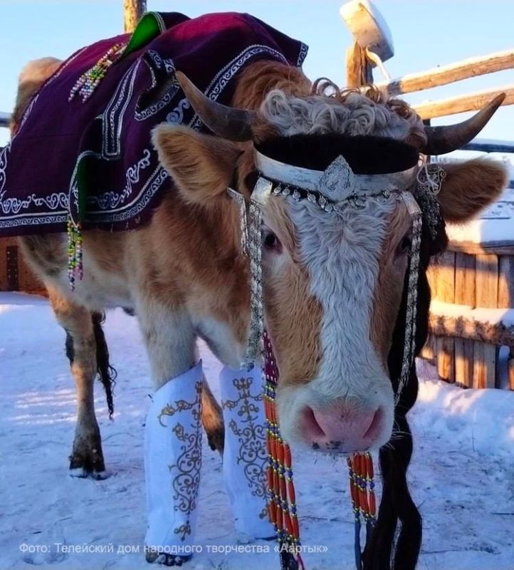 ��������� ������� ������� ������ � ������ � ����������� ���������