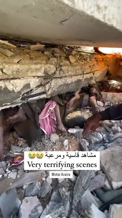 "������" ������� � �����������