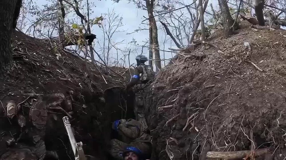 ��� � �������� �� ������� ����������