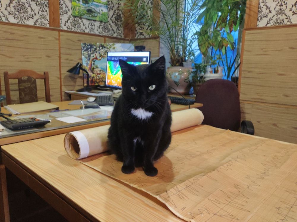 ������� ������ � ������� ������ �� ����� ���� �� ���������