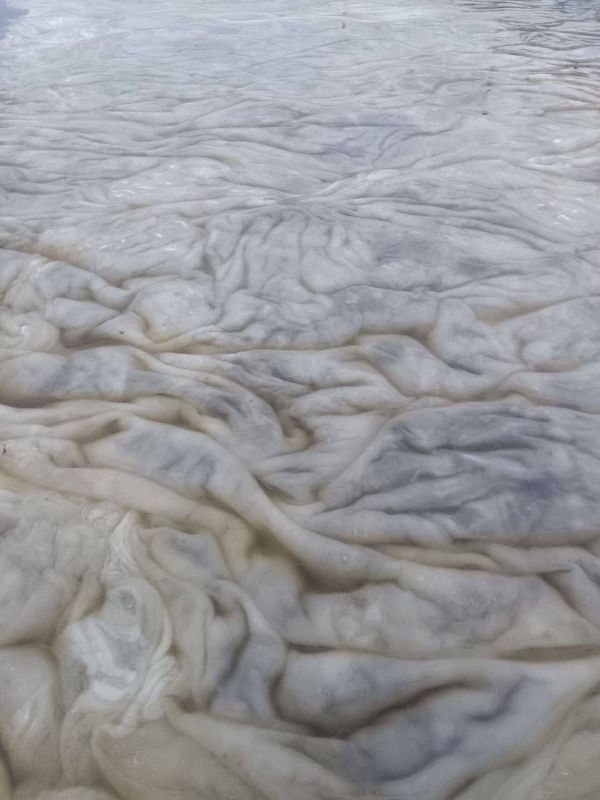 ������� �������� ������� ������ ���������� �� ���� �������������