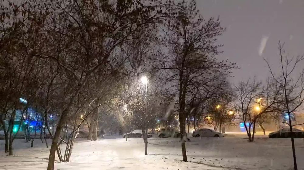 � � ������ ������ �����. ����� �������� ����������. �������� ��� � � �������������. �� ��������� - � ��������