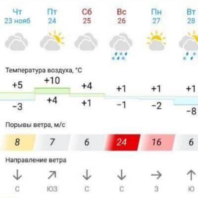 � �������� ������� ����� �� 24 �/�, ���� � �����������