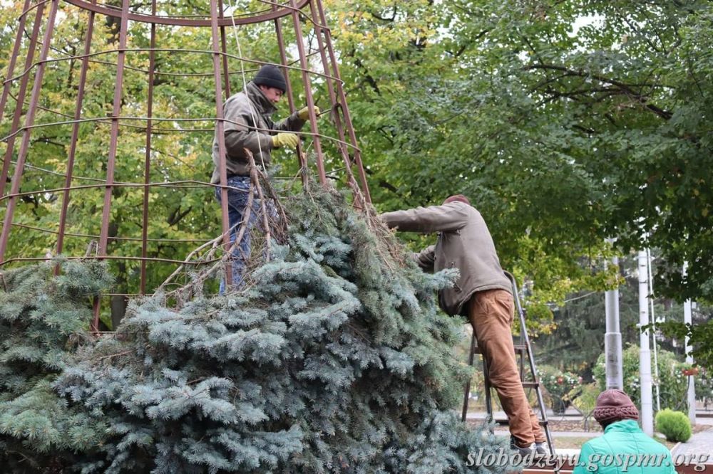 ��� ���� ���� �������� � ��������� �� �������� ���������