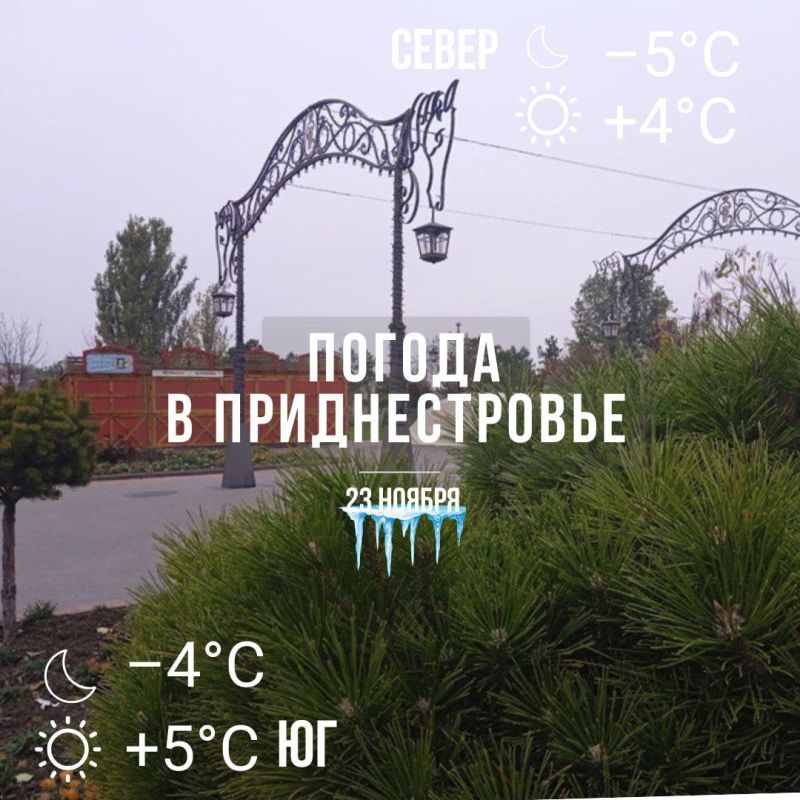 ����� � ��-�������. ���� � �� +5��. ��� ������