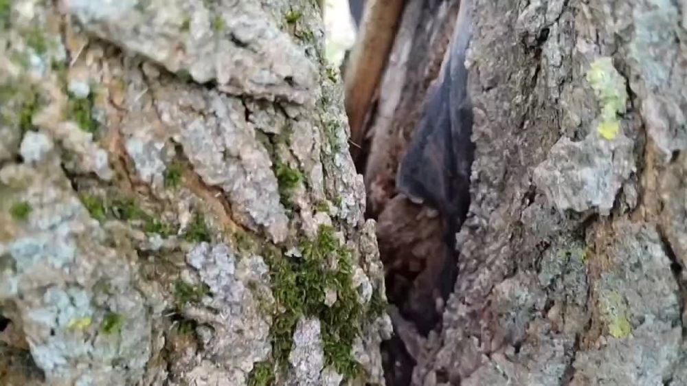 �� ������ ������� ������ � ��������� ��� ������!�