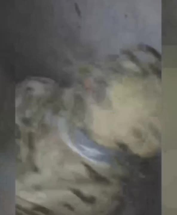 ������ ��������, ���������� �� ������� ������, ����� � ���� ���������� ���������, ������� ����� �� ���