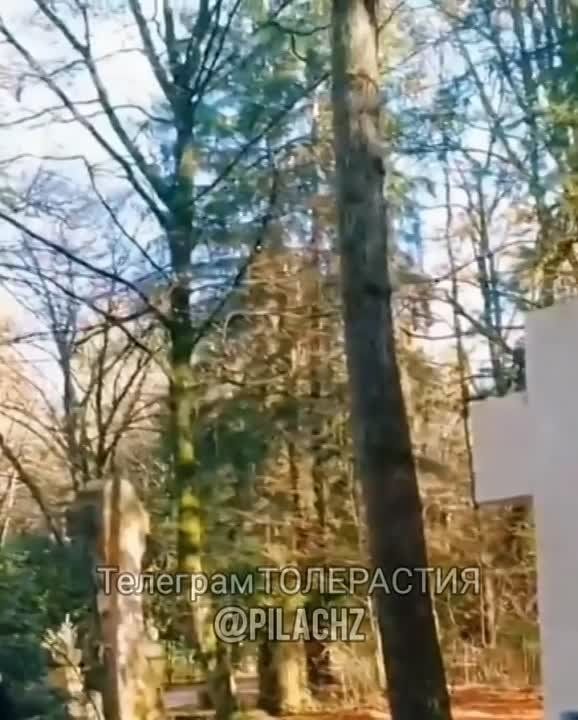 � �������� ����������� ����� ������ �� ������ �������