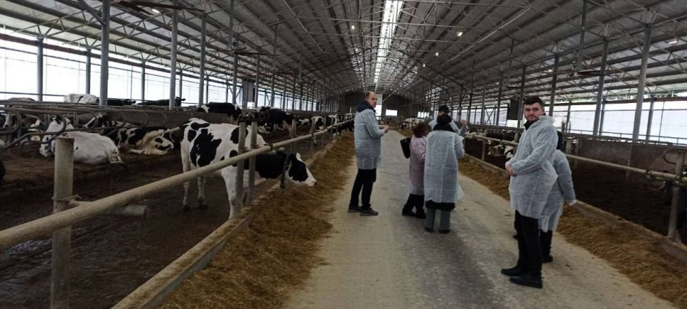 ������� �������� "���������������� ��������" �������� ����� "�������" � ���� �������� ���������� ������