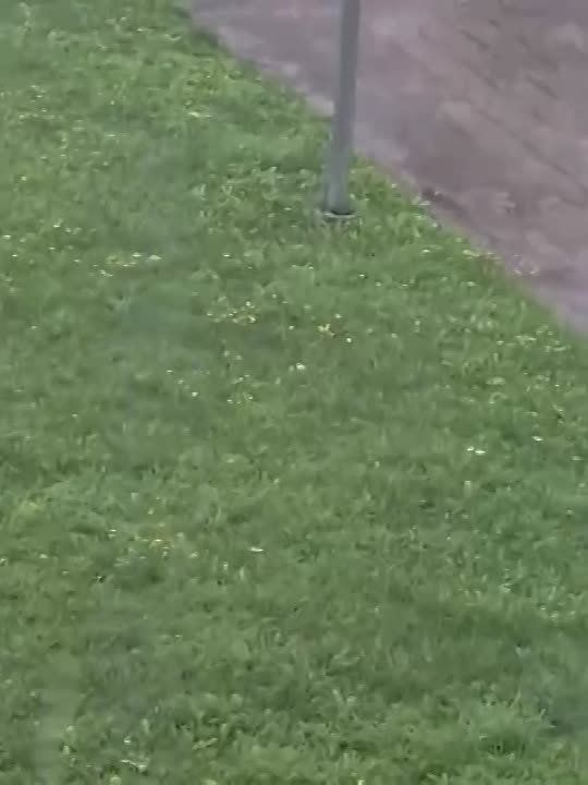 ������� ��������� ���